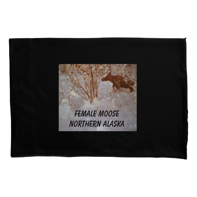 Housse D'oreillers Oie Pilote (devant)