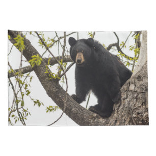 Housse D'oreillers Ours noir Escalade