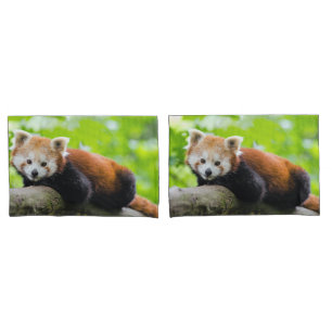 Housse D'oreillers Panda rouge