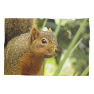 Housse D'oreillers Portrait d'un écureuil Photographie d'animal de na