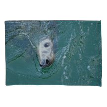 Sceau gris en mission