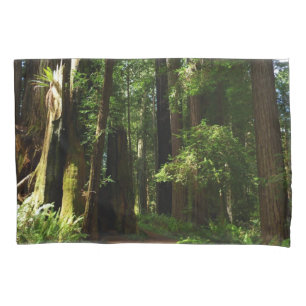 Housse D'oreillers Séquoias et fougères au parc national de Redwood