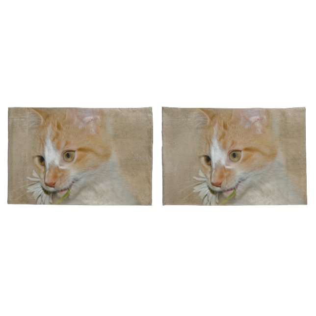 Housse D'oreillers Tabby Kitten avec une marguerite blanche (Dos-Set)