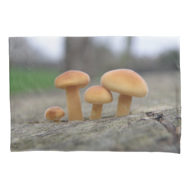 Housse D'oreillers Tabourets Toadstools Macro Pillowcase (devant)