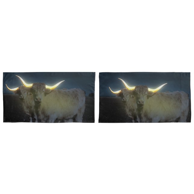 Housse D'oreillers Vaches Highland Qui Jaillissent Dans L'Ombre, Orei (devant-Set)