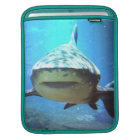 Douille d'iPad de requin