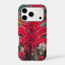 Housse pour iPhone17 pro avec Odontonema