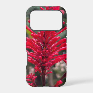 Housse pour iPhone17 pro avec Odontonema