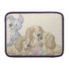 La dame et les chiots de tramp