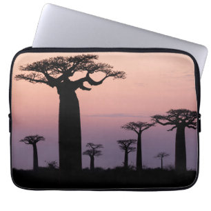 Housse Pour Ordinateur Portable Allée des Baobabs, Madagascar, Morondava, Afrique,