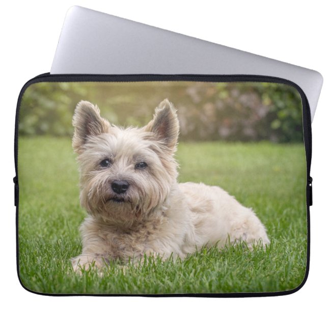 Housse Pour Ordinateur Portable Animaux de bébés cutest | Cairn Terrier Dog (Devant)