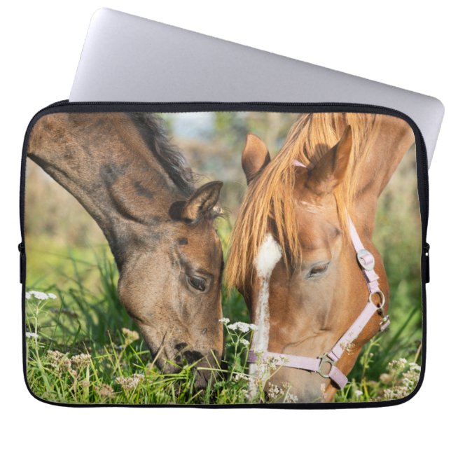 Housse Pour Ordinateur Portable Animaux de bébés cutest | Colt à cheval (Devant)