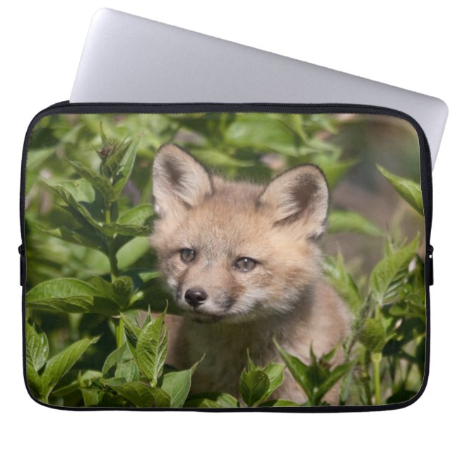 Housse Pour Ordinateur Portable Animaux de bébés cutest | Kit Fox (Devant)