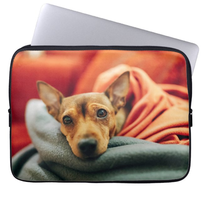 Housse Pour Ordinateur Portable Animaux de bébés cutest | Miniature Pinscher (Devant)