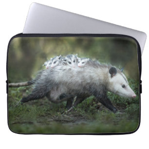 Housse Pour Ordinateur Portable Animaux de bébés cutest   Opossum Maman & Kids