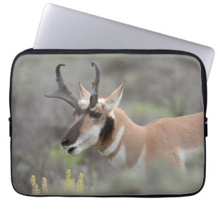 Housse Pour Ordinateur Portable Antilope d'Amérique mâle   Grand Tetons