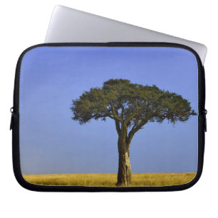 Housse Pour Ordinateur Portable Arbre d'acacia isolé dans les plaines herbeuses, M