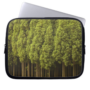 Housse Pour Ordinateur Portable Arbres de cèdre de Koya Sugi