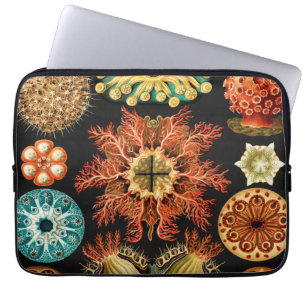 Housse Pour Ordinateur Portable Ascidiae, Seescheiden Marine Life par Ernst Haecke