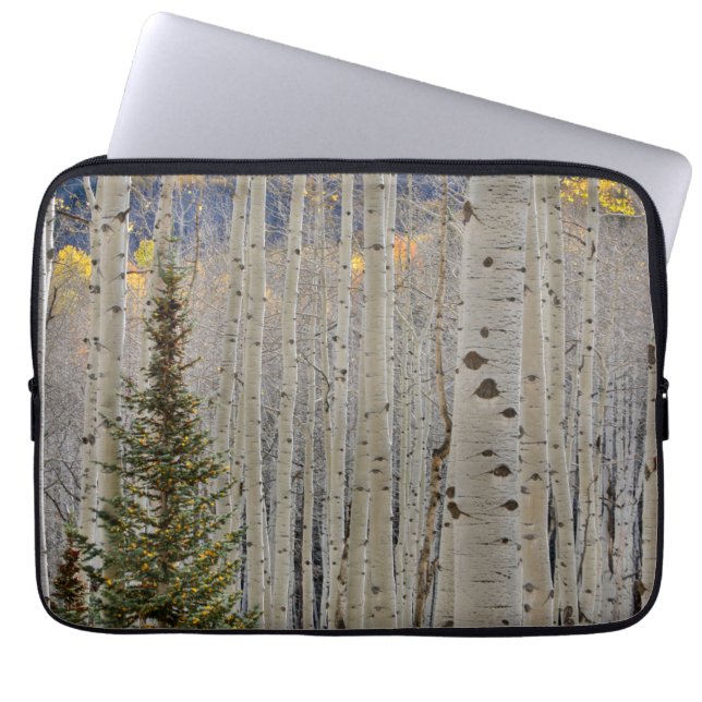 Housse Pour Ordinateur Portable Aspen Groves d'automne | Colorado Montagnes Rocheu (Devant)