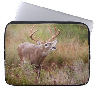 Housse Pour Ordinateur Portable Automne de cerfs à queue blanche au Texas