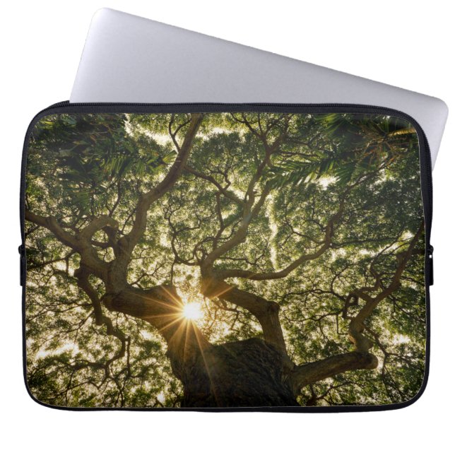 Housse Pour Ordinateur Portable Auvent Sunstar de banian (Devant)