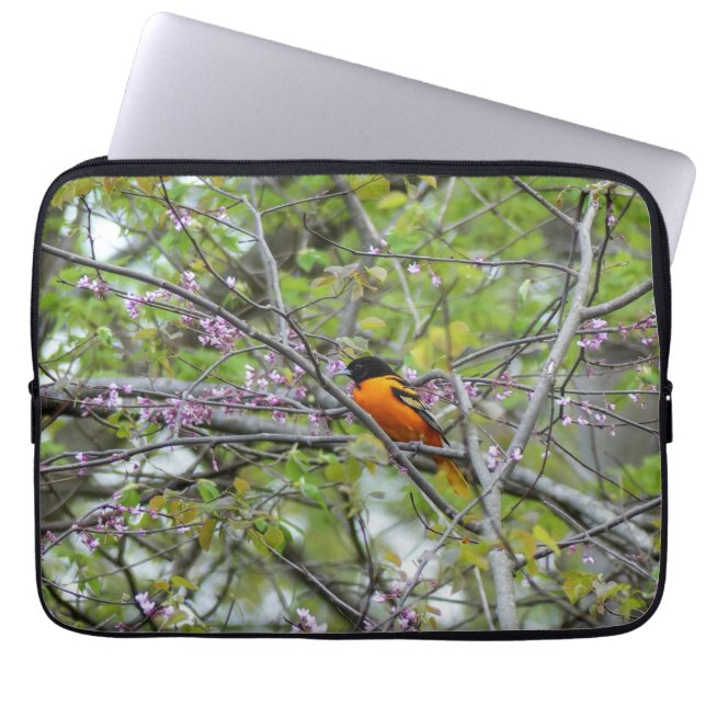 Housse Pour Ordinateur Portable Baltimore Oriole (Devant)