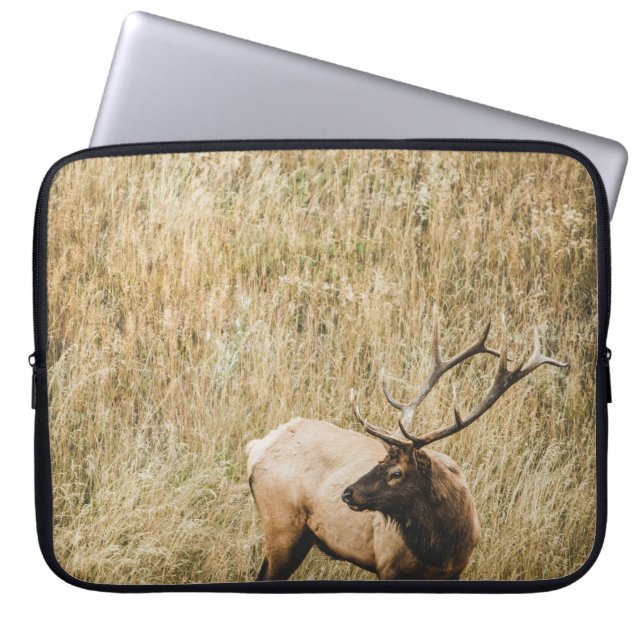 HOUSSE POUR ORDINATEUR PORTABLE BEAU CERF D'ELK (Devant)