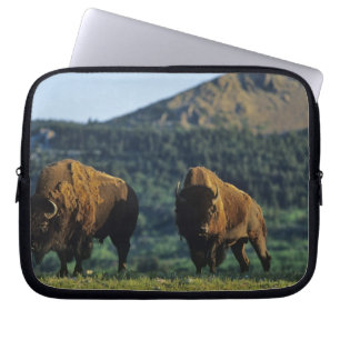 Housse Pour Ordinateur Portable Bisons mâles au parc national des lacs Waterton