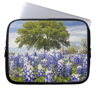 Housse Pour Ordinateur Portable Bluebonnets du Texas (lupinus texensis) et chêne