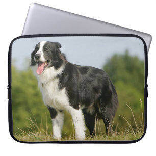 Housse Pour Ordinateur Portable Border collie haletant la position