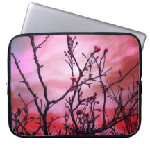 Branches Sombres Bufs Rouges Et Ciel Foyer