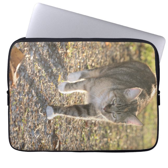 Housse Pour Ordinateur Portable Brin (Devant)