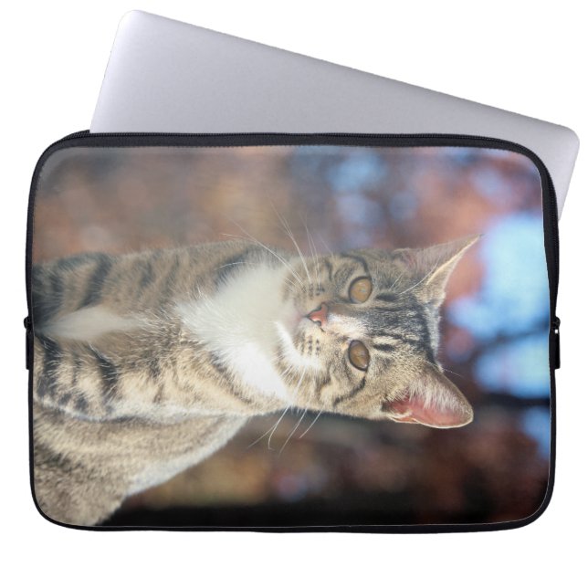 Housse Pour Ordinateur Portable Brin (Devant)