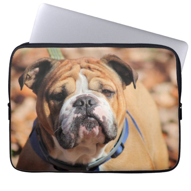 Housse Pour Ordinateur Portable Buddy Bulldog (Devant)