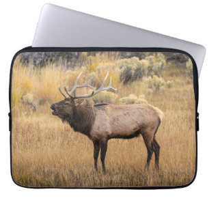 Housse Pour Ordinateur Portable Bull Elk Parc national de Yellowstone