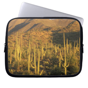 Housse Pour Ordinateur Portable Cactus saguaro dans le parc national de Saguaro pr