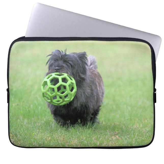 Housse Pour Ordinateur Portable Cairn terrier (Devant)
