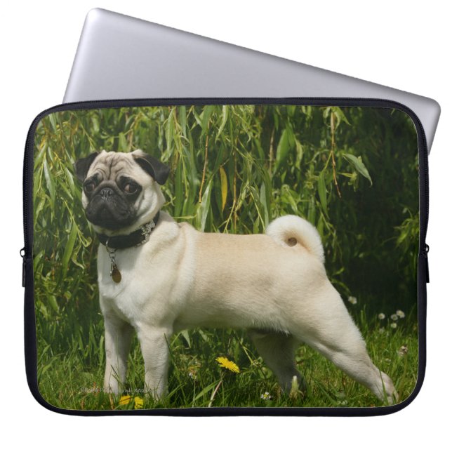Housse Pour Ordinateur Portable Carlin regardant l'appareil-photo (Devant)