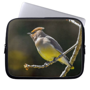 Housse Pour Ordinateur Portable Cèdre cire Songbird Photo originale Oiseau sauvage