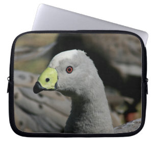 Housse Pour Ordinateur Portable Cereopsis novaehollandiae ou Cape Barren Goose