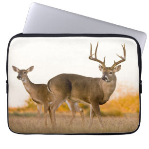 Housse Pour Ordinateur Portable Cerf à queue blanche Automne au Texas