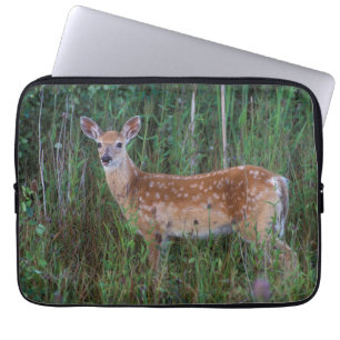 Housse Pour Ordinateur Portable Cerf à queue blanche National Bison Range Montan