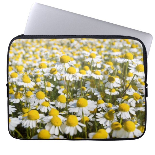 Housse Pour Ordinateur Portable Champ chamomile, Hongrie (Devant)