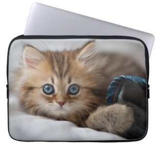 Housse Pour Ordinateur Portable Chaton avec des yeux bleus