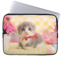Chaton de Munchkin