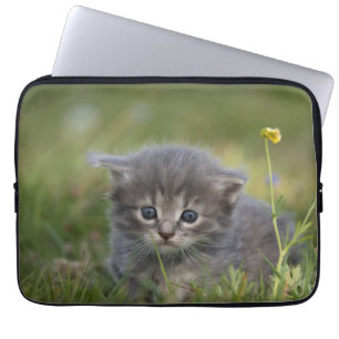 Housse Pour Ordinateur Portable Chaton Personnalisé Mignon