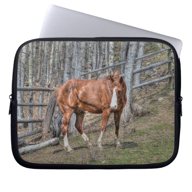 Housse Pour Ordinateur Portable Chestnut Stallion Horse et Forêt - Equine (Devant)