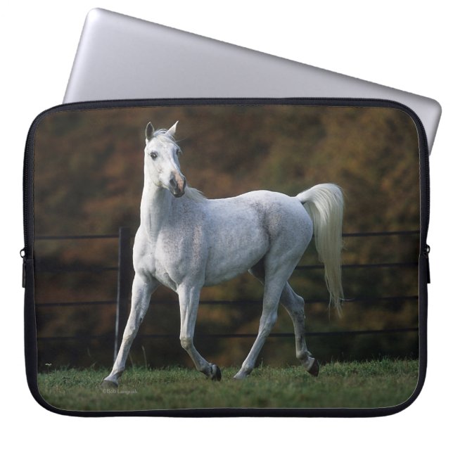 Housse Pour Ordinateur Portable Cheval arabe courant 1 (Devant)