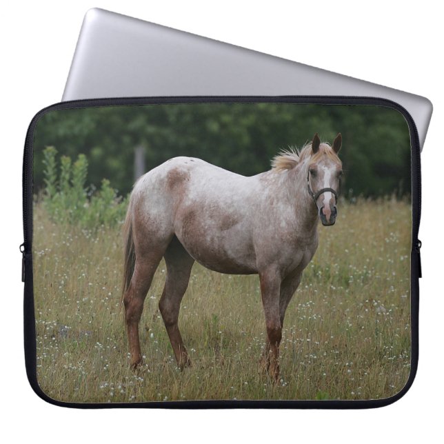 Housse Pour Ordinateur Portable Cheval d'Appaloosa se tenant dans l'herbe (Devant)